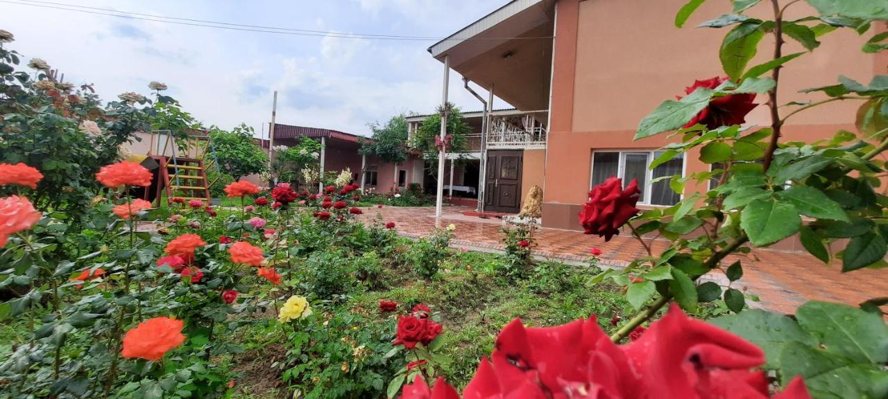 Vip Hostel Turkistan Eksteriør billede